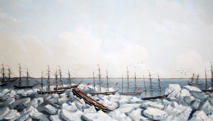 Археологи обнаружили место крупнейшей катастрофы в истории китобойного флота Археологи обнаружили место крупнейшей катастрофы в истории китобойного флота