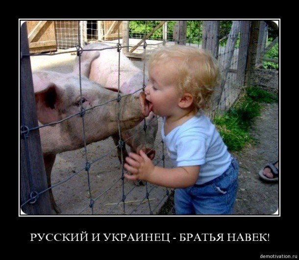 Почему русские не понимают хохлов