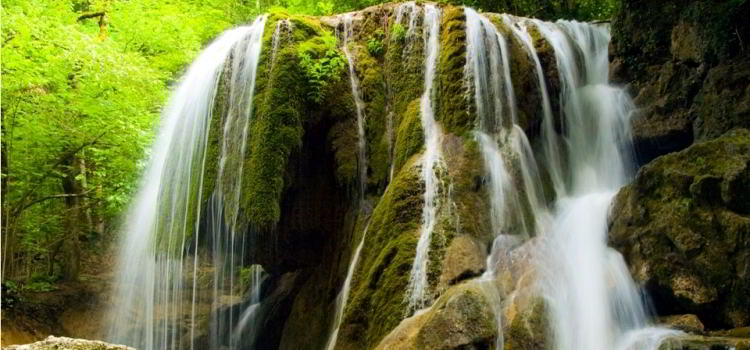 Погибла одна из главных достопримечательностей Крыма Погибла одна из главных достопримечательностей Крыма