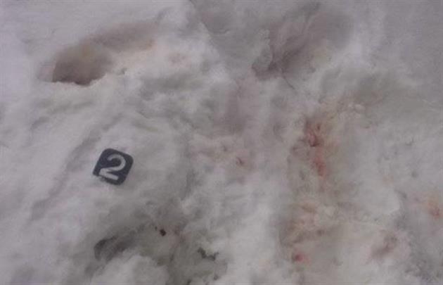 Новые подробности резни на закарпатском курорте: ПСы подтвердили участие в инциденте своих боевиков Новые подробности резни на закарпатском курорте: ПСы подтвердили участие в инциденте своих боевиков