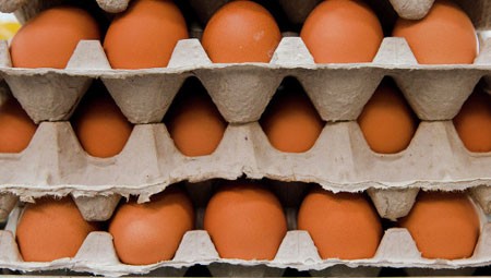 В Израиле 15 детей попали в больницу из-за украинских яиц В Израиле 15 детей попали в больницу из-за украинских яиц