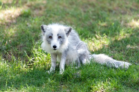 Не полный песец - 3. Отставить панику - дефолта не будет?! Не полный песец - 3. Отставить панику - дефолта не будет?!