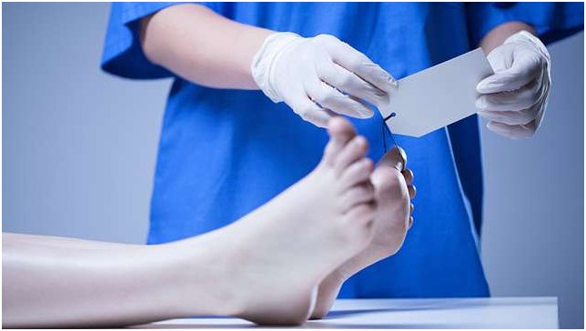 Зондирование политического трупа. Юрий Селиванов Зондирование политического трупа. Юрий Селиванов