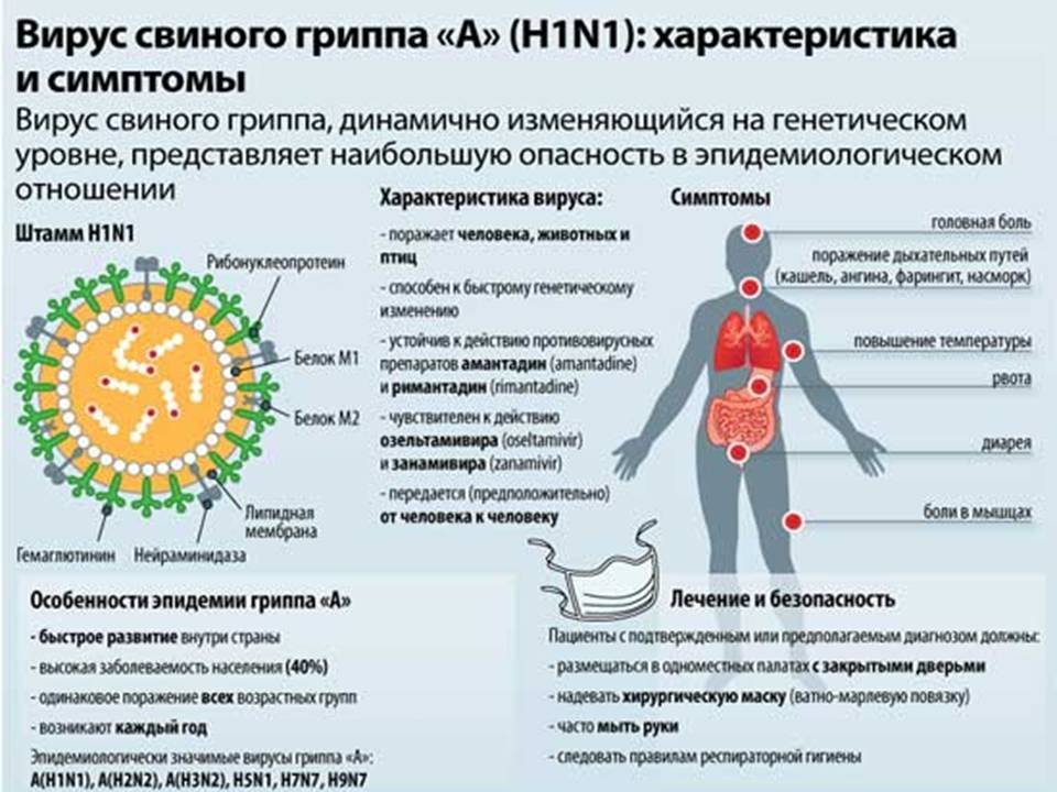 Эпидемии в строго определенных местах Эпидемии в строго определенных местах
