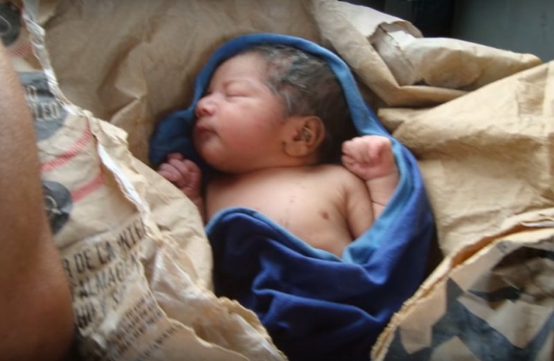 Когда люди увидели, кого несет собака, волосы стали дыбом... Но дальнейшее удивило еще больше! Когда люди увидели, кого несет собака, волосы стали дыбом... Но дальнейшее удивило еще больше!