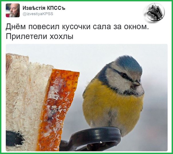 "Мыздобулы" в картинках. Смешных и не очень... 15-01-2016