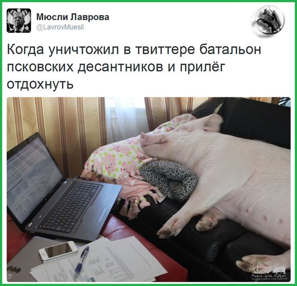 "Мыздобулы" в картинках. Смешных и не очень... 15-01-2016