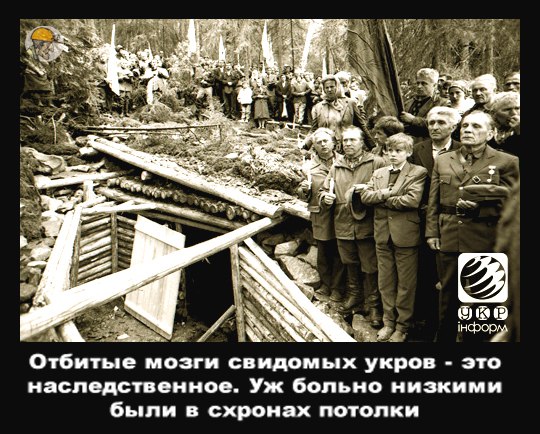 "Мыздобулы" в картинках. Смешных и не очень... 15-01-2016