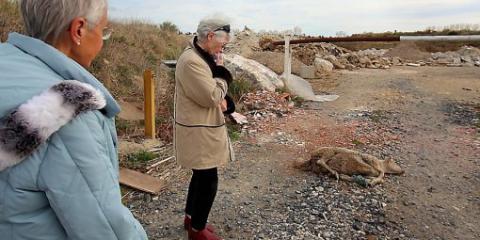 Теперь пришла очередь животных: Акты зоофилии с элементами садизма во Франции Теперь пришла очередь животных: Акты зоофилии с элементами садизма во Франции