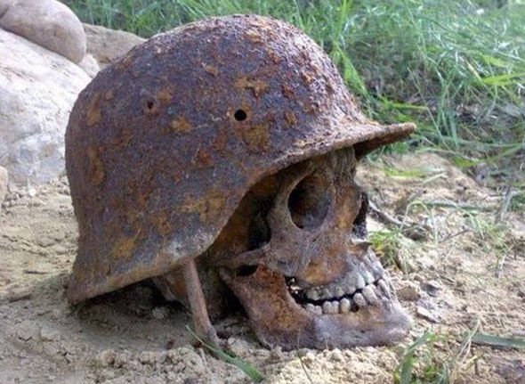 В России обнаружили черепа пришельцев и сундук с эмблемой «Аненербе» В России обнаружили черепа пришельцев и сундук с эмблемой «Аненербе»