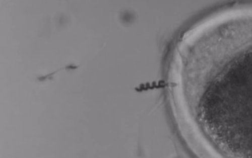 Новая подборка новостей мира науки и техники 17-01-2016