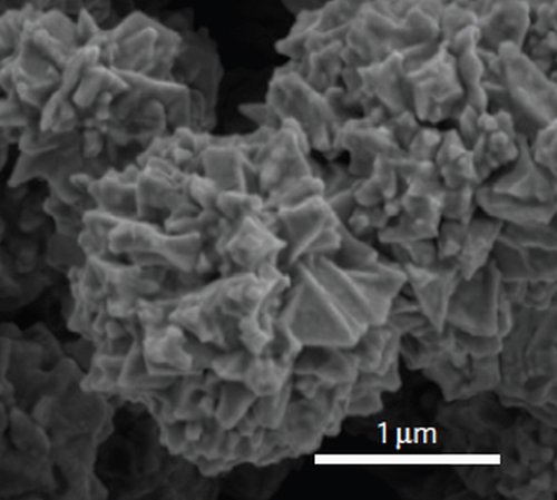 Новая подборка новостей мира науки и техники 17-01-2016