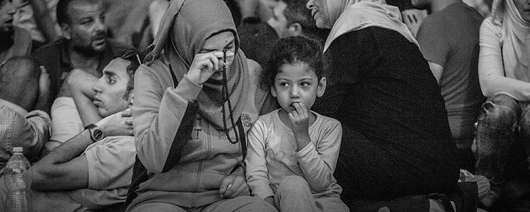 Т-толерантность или взаимная резня