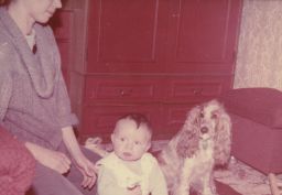 Как кошка с собакой или братья наши меньшие Как кошка с собакой или братья наши меньшие