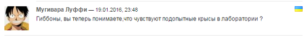 Ситуация, когда уж лучше молчать… Ситуация, когда уж лучше молчать…