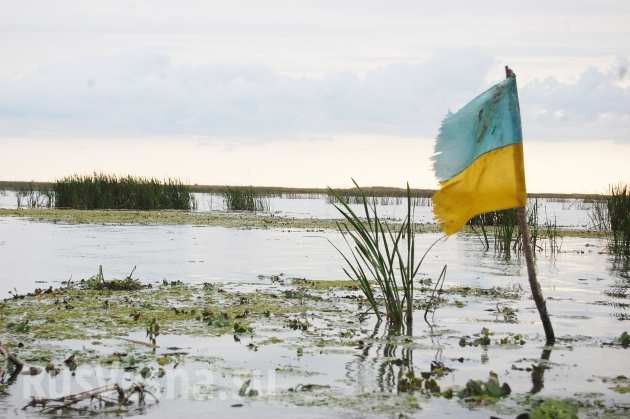 И в болоте бывают перемены…