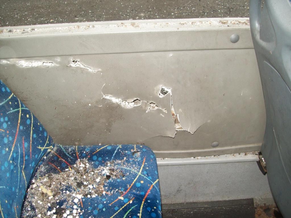 Подборка новостей от ДАН 22.01.2016