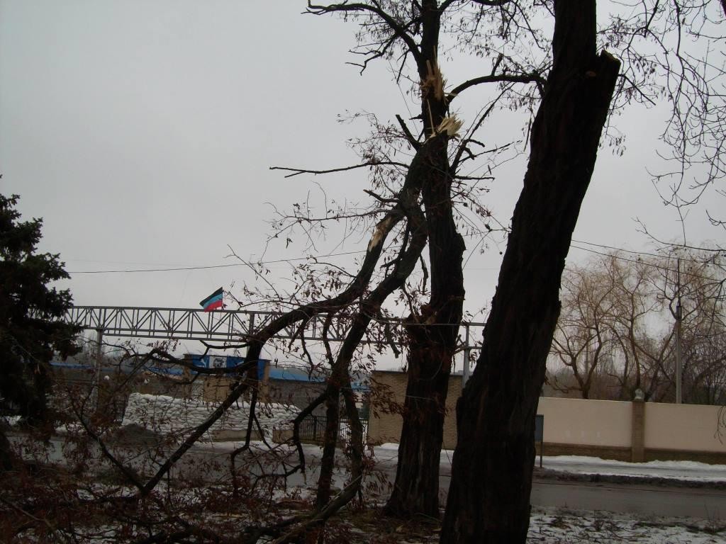 Подборка новостей от ДАН 22.01.2016