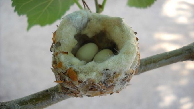 10 удивительных фактов, о которых вы, возможно, не знали 10 удивительных фактов, о которых вы, возможно, не знали