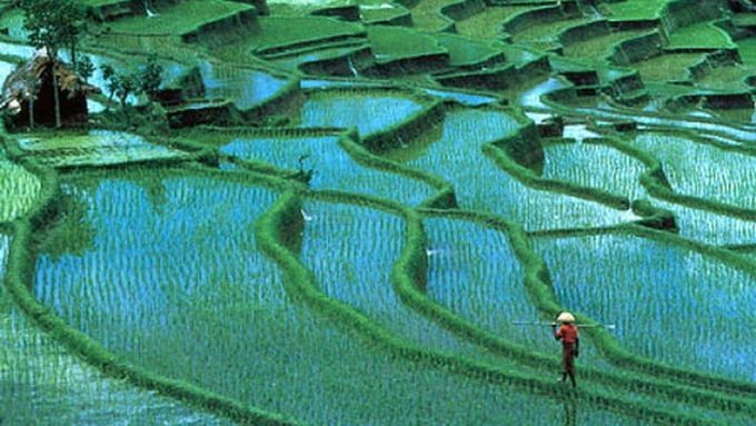 10 удивительных фактов, о которых вы, возможно, не знали 10 удивительных фактов, о которых вы, возможно, не знали