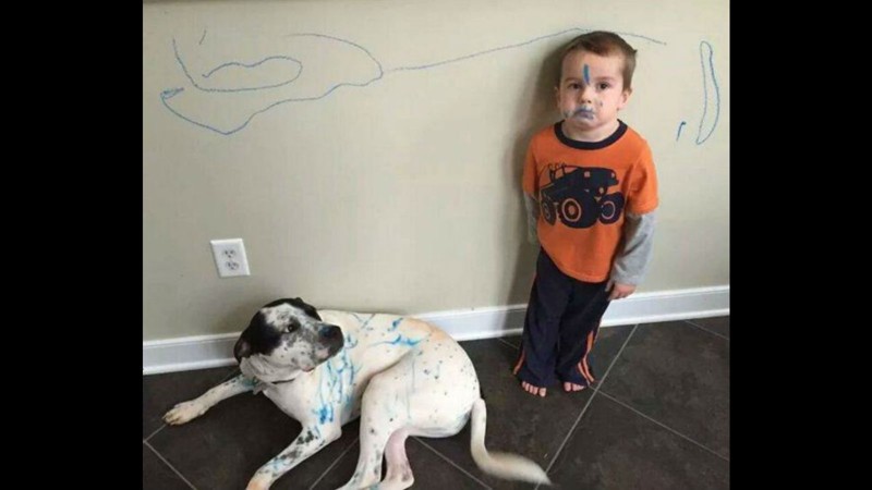 Чем тише тем страшней туда входить