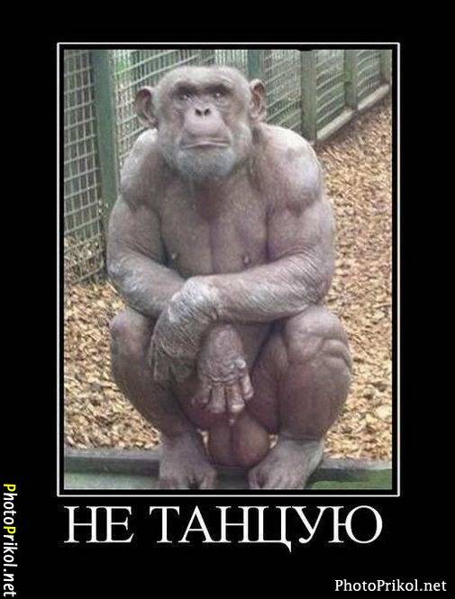 Демотиватры. Весёлые и не очень.