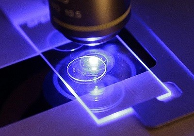 ТАСС. Специальный проект: Заразен и очень опасен