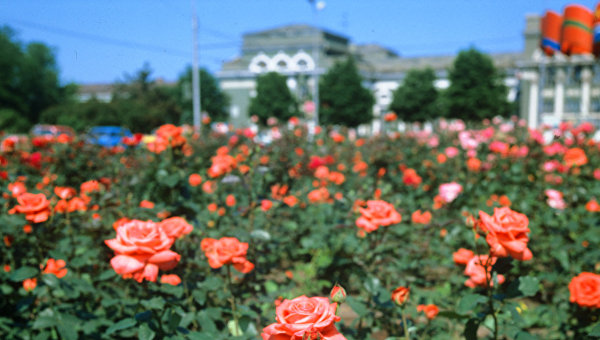 Денис Селезнев: Сегодня Донецк – это и античность, и Европа, и, увы, нищета Денис Селезнев: Сегодня Донецк – это и античность, и Европа, и, увы, нищета