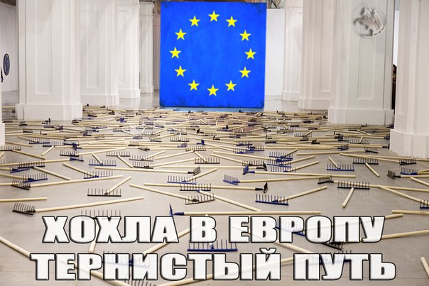 "Мыздобулы" в картинках. Смешных и не очень... 28-01-2016