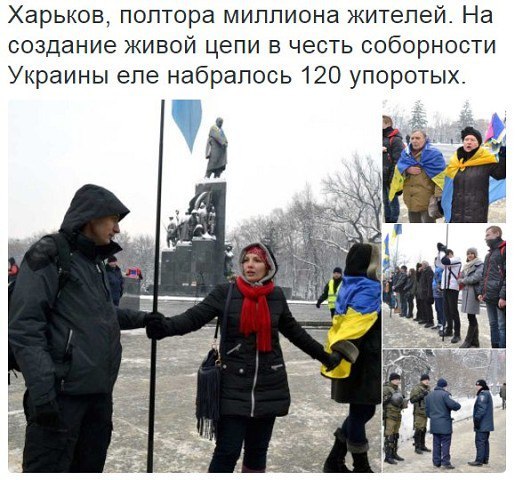 "Мыздобулы" в картинках. Смешных и не очень... 28-01-2016