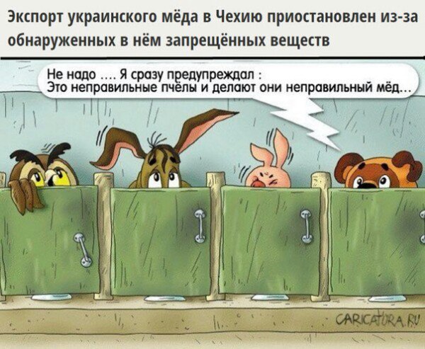 "Мыздобулы" в картинках. Смешных и не очень... 28-01-2016