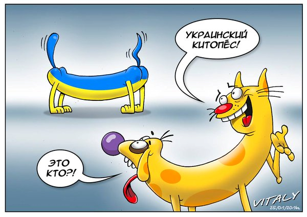 "Мыздобулы" в картинках. Смешных и не очень... 28-01-2016