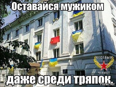 "Мыздобулы" в картинках. Смешных и не очень... 28-01-2016