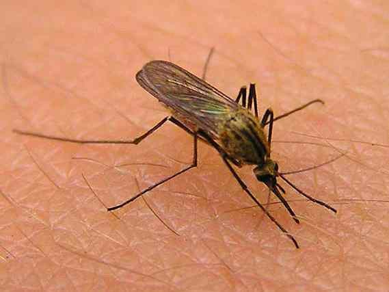 В 1980-х годах в СССР дети верили, что… В 1980-х годах в СССР дети верили, что…