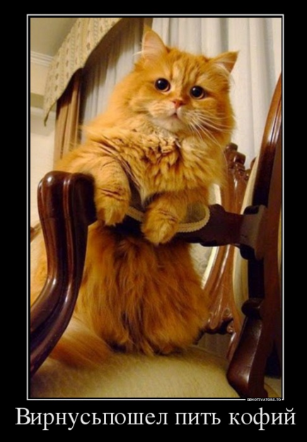 Мотин английский суд Мотин английский суд