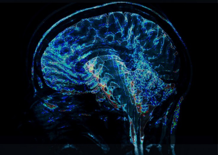 10 мифов о мозге, в которые многие всё ещё верят 10 мифов о мозге, в которые многие всё ещё верят