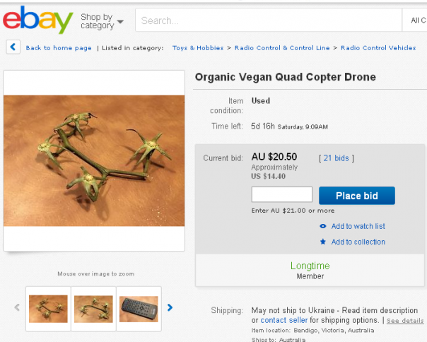 Ветку от томатов на Ebay выдали за органический беспилотник Ветку от томатов на Ebay выдали за органический беспилотник