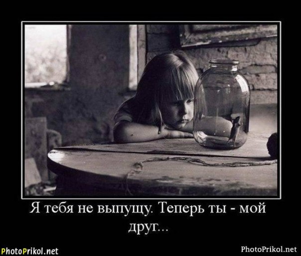 Демотиватры. Весёлые и не очень.