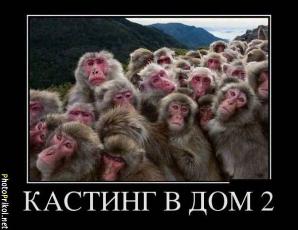 Демотиватры. Весёлые и не очень.