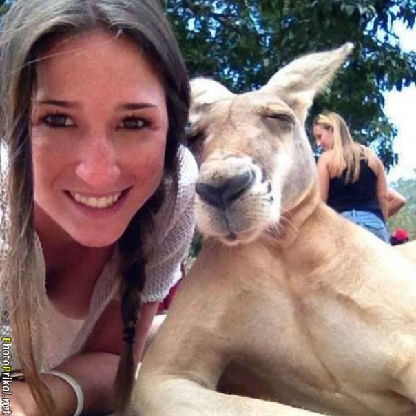 Демотиватры. Весёлые и не очень.