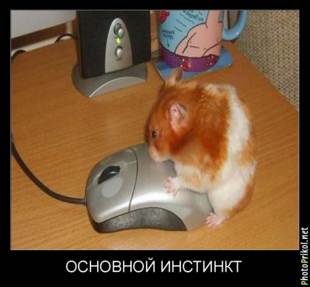 Демотиватры. Весёлые и не очень.