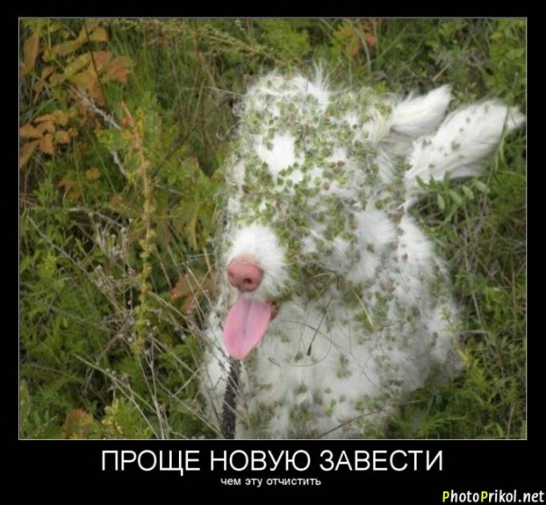 Демотиватры. Весёлые и не очень.