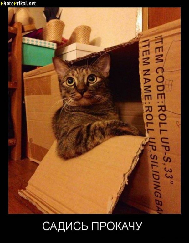 Демотиватры. Весёлые и не очень.