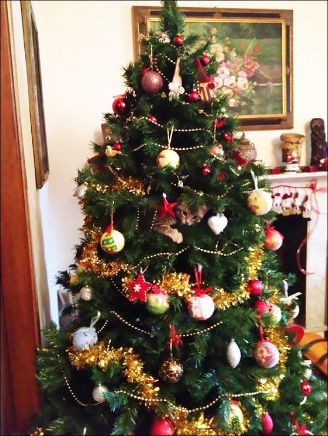 Поздравительные (и не очень) новогодние ёлочки с котегами :))