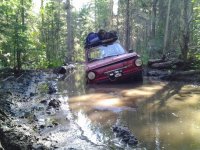 Что год грядущий нам готовит…