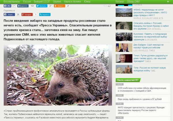 Про ёжиков (истории)