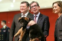 Русский пес - будущая гордость Франции!