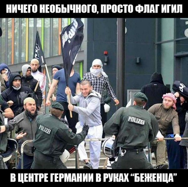 "Мыздобулы" в картинках. Смешных и не очень... 15-01-2016