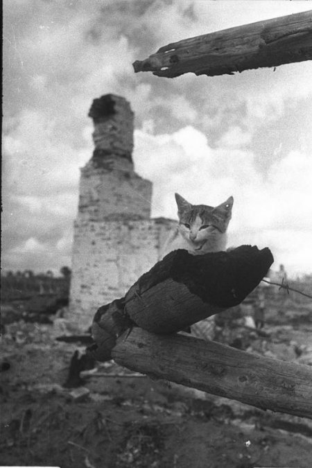 Снимать фото, как Михаил Савин