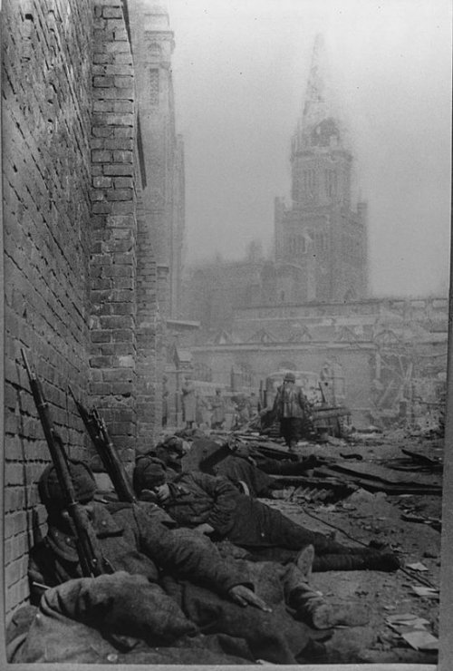 Снимать фото, как Михаил Савин